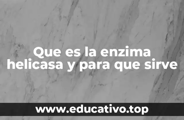 Que es la enzima helicasa y para que sirve