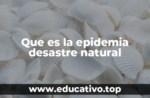 Que es la epidemia desastre natural