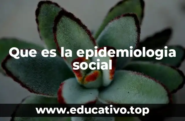 Que es la epidemiologia social