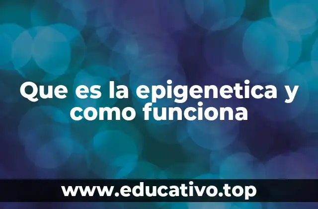 Que es la epigenetica y como funciona