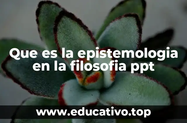 Que es la epistemologia en la filosofia ppt