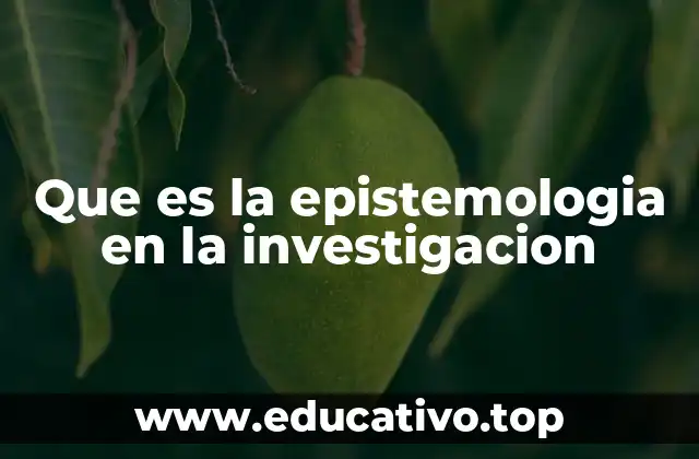 Que es la epistemologia en la investigacion