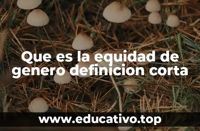 Que es la equidad de genero definicion corta