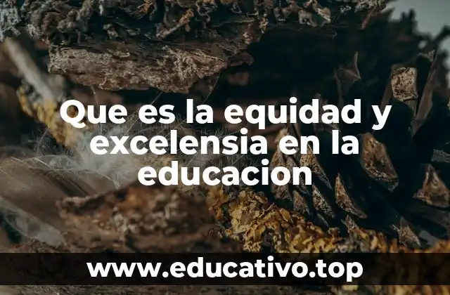 Que es la equidad y excelensia en la educacion