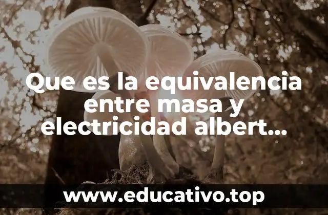 Que es la equivalencia entre masa y electricidad albert einstein