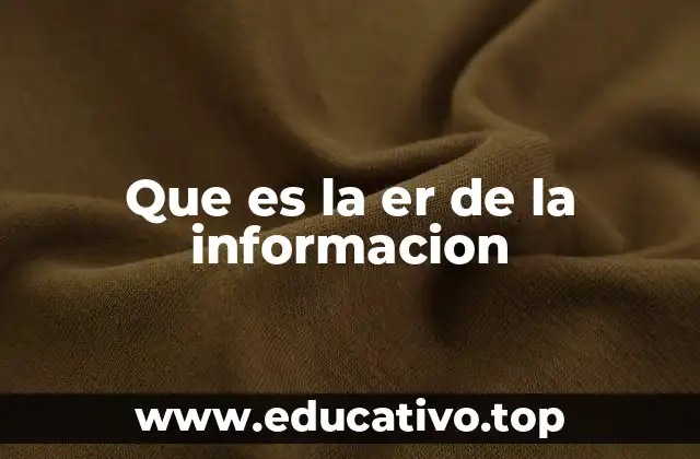 Que es la er de la informacion