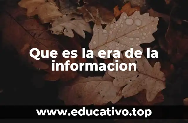Que es la era de la informacion