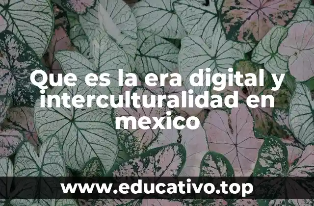 Que es la era digital y interculturalidad en mexico