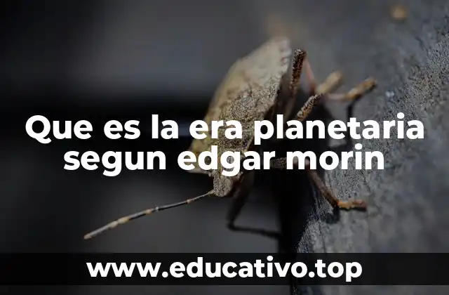 La evolución del pensamiento humano hacia lo global