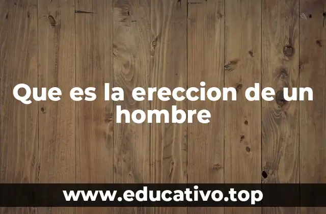 Que es la ereccion de un hombre