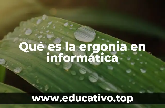Qué es la ergonia en informática