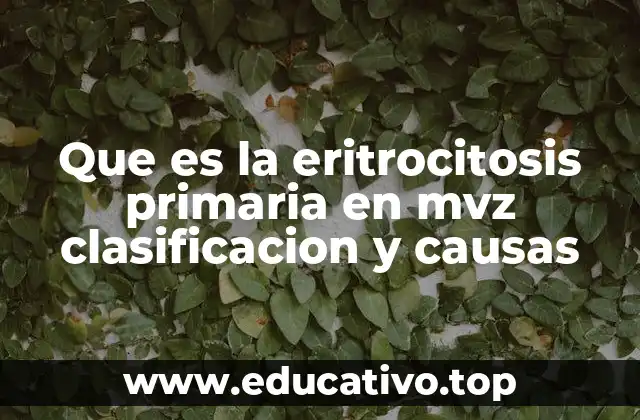 Que es la eritrocitosis primaria en mvz clasificacion y causas