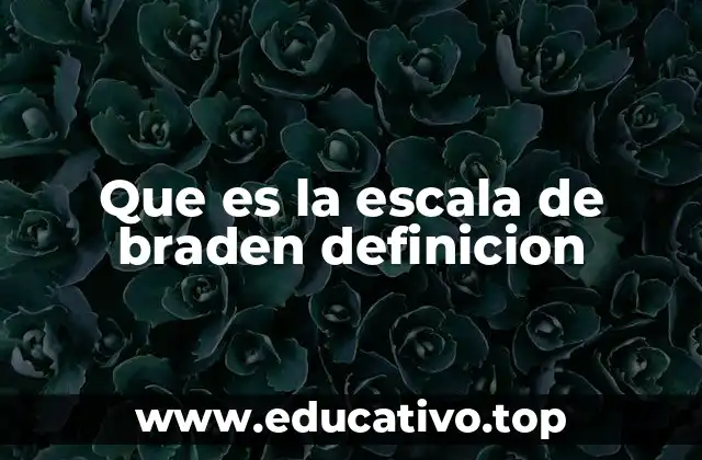Que es la escala de braden definicion
