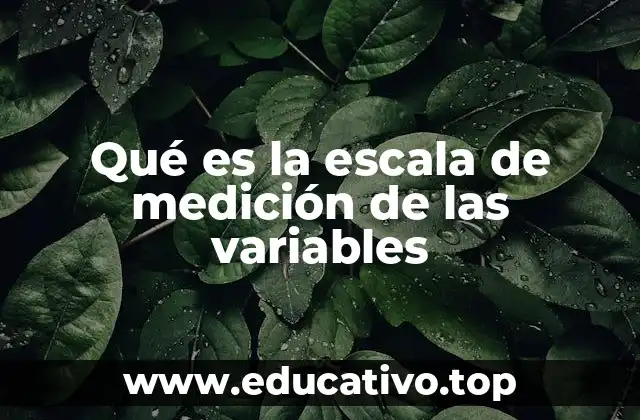 Qué es la escala de medición de las variables