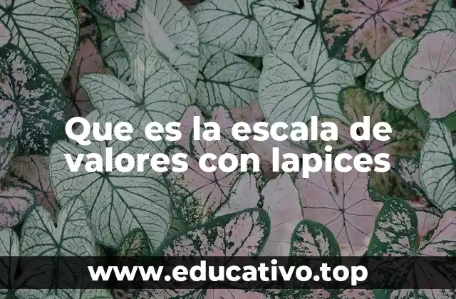 Que es la escala de valores con lapices