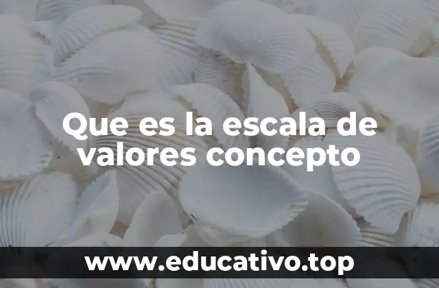 Que es la escala de valores concepto