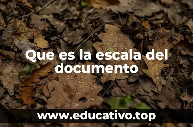 Que es la escala del documento