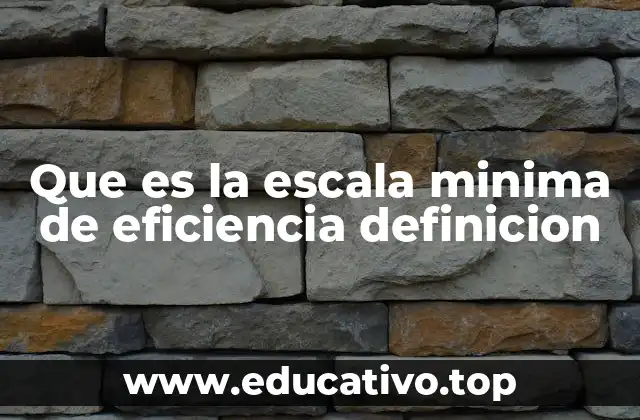 Que es la escala minima de eficiencia definicion