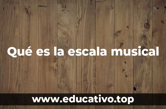 Qué es la escala musical