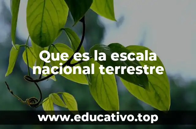 La importancia de la escala en la representación geográfica