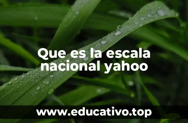 Que es la escala nacional yahoo