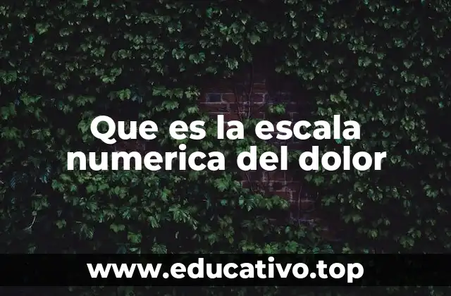 Cómo la escala numérica del dolor mejora la comunicación entre médico y paciente