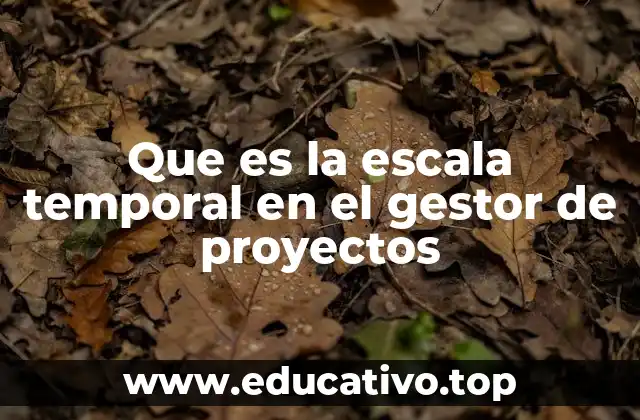 Que es la escala temporal en el gestor de proyectos