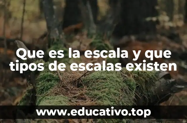 Que es la escala y que tipos de escalas existen