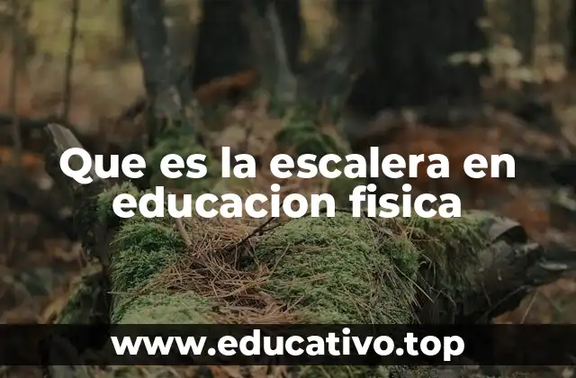 La escalera como herramienta para el desarrollo motor