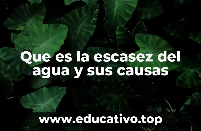 Que es la escasez del agua y sus causas