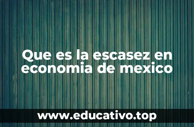 Que es la escasez en economia de mexico