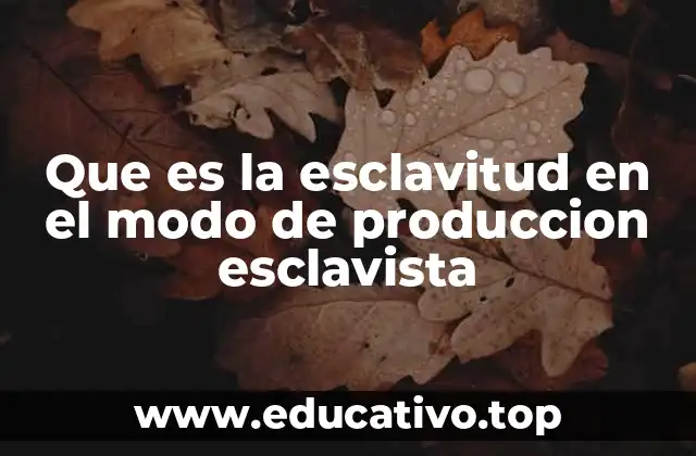 Que es la esclavitud en el modo de produccion esclavista