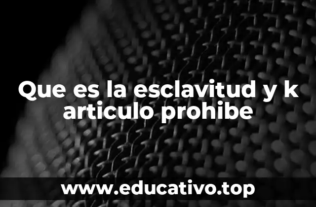 Que es la esclavitud y k articulo prohibe