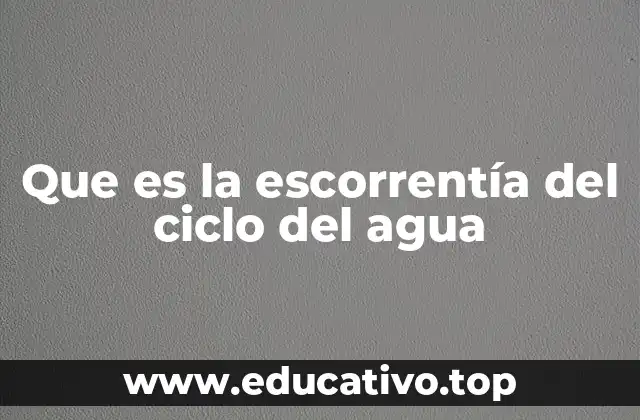 Que es la escorrentía del ciclo del agua