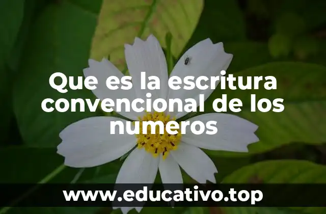 Que es la escritura convencional de los numeros