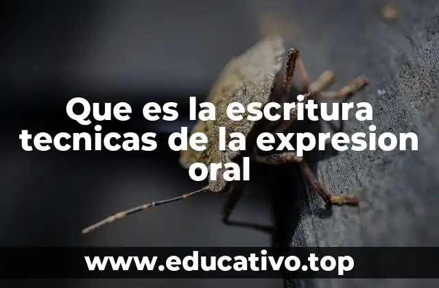 Que es la escritura tecnicas de la expresion oral