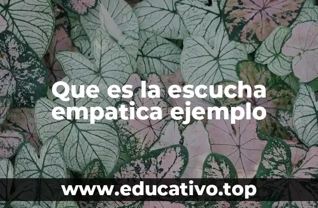 Que es la escucha empatica ejemplo