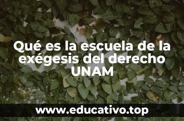 Qué es la escuela de la exégesis del derecho UNAM