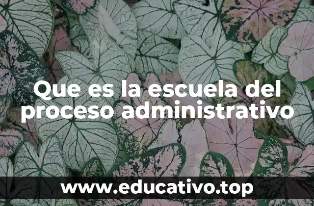 Que es la escuela del proceso administrativo