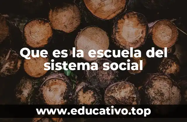 Que es la escuela del sistema social