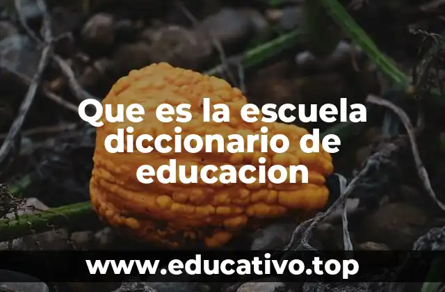 La importancia de la escuela en el desarrollo humano