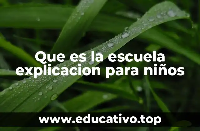 Que es la escuela explicacion para niños