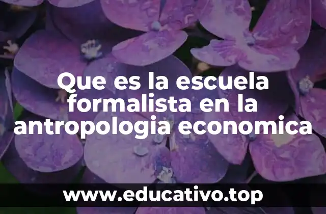 Que es la escuela formalista en la antropologia economica