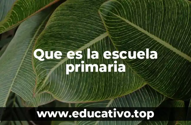 Que es la escuela primaria