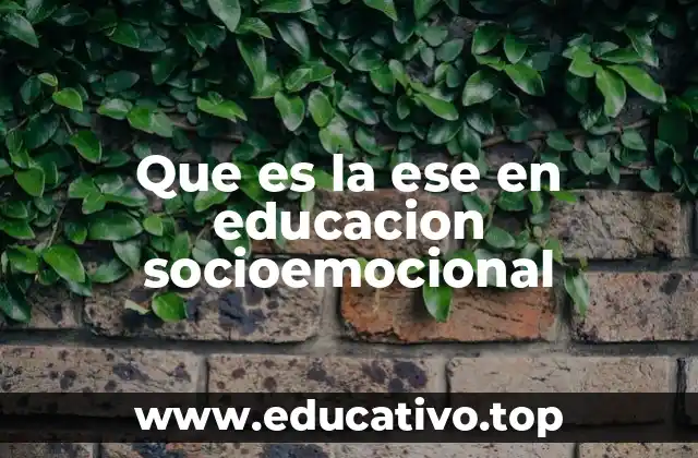 Que es la ese en educacion socioemocional