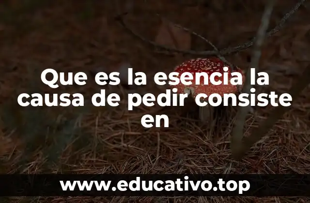 Que es la esencia la causa de pedir consiste en