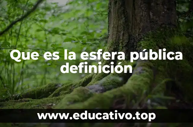 Que es la esfera pública definición