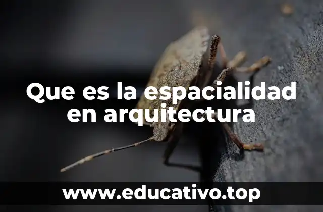 Que es la espacialidad en arquitectura