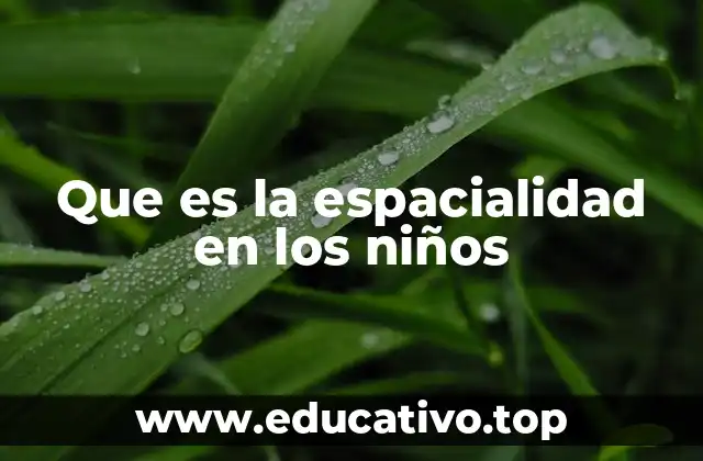Que es la espacialidad en los niños
