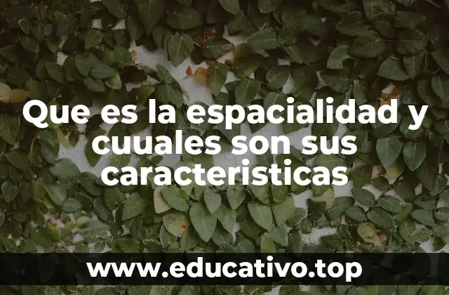 Que es la espacialidad y cuuales son sus caracteristicas